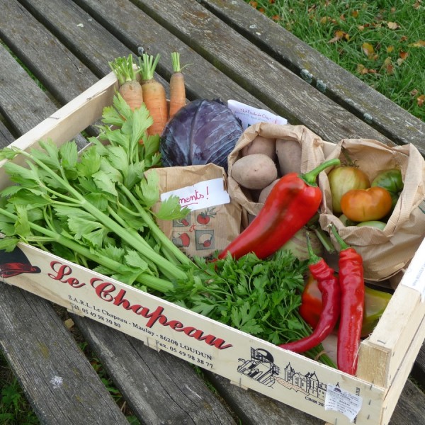 le-panier-en-automne